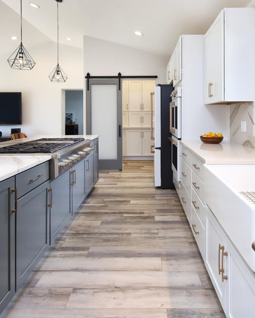 Winterhaven Remodel transitional-kitchen
