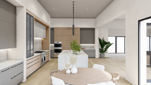 Lincoln transitional kitchen transitional-rendering