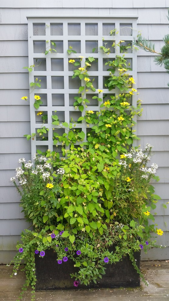 This is an example of a traditional landscaping in Portland Maine with decking.
