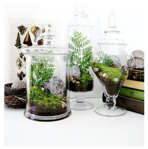Garden Lovers Terrarium Gift Set in Apothecary Jars by Doodle Birdie klassisk-terrarier
