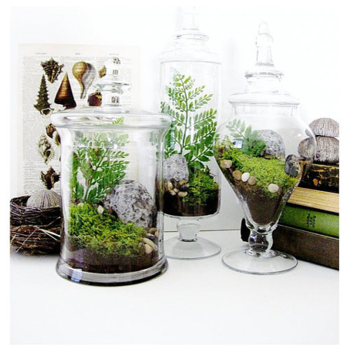 Garden Lovers Terrarium Gift Set in Apothecary Jars by Doodle Birdie