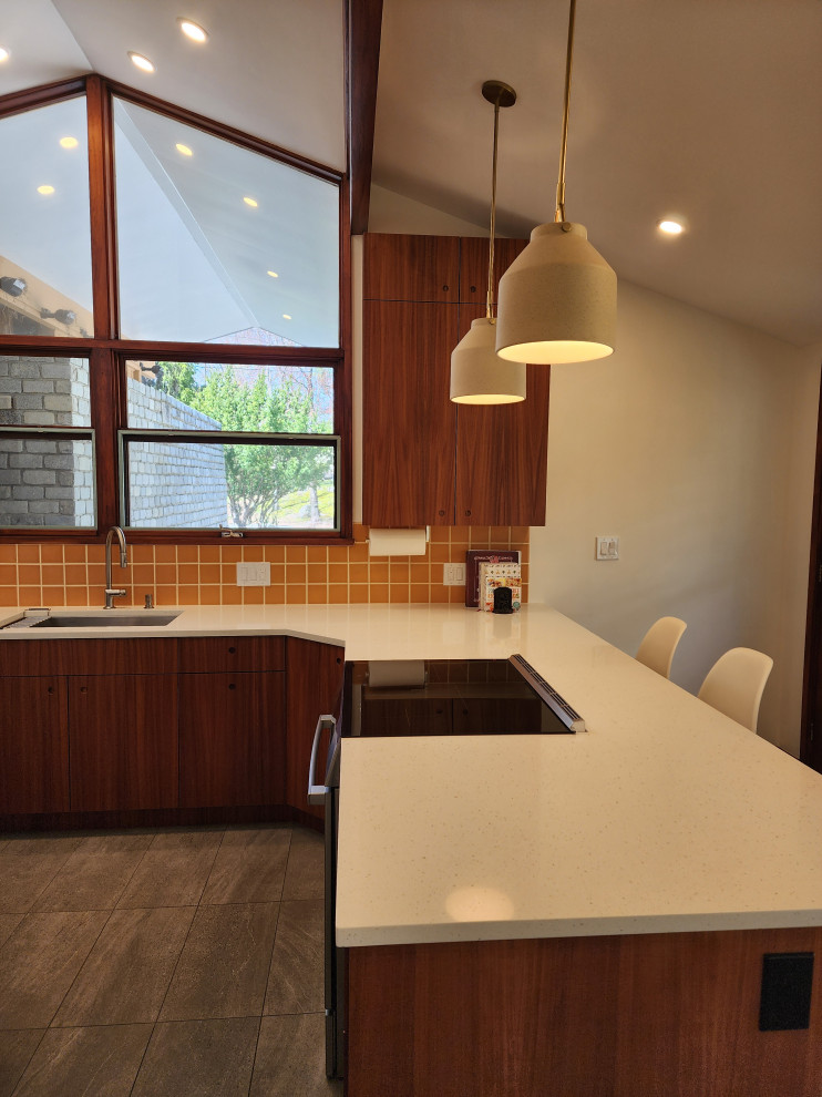 6360 Mid-Century Modernized