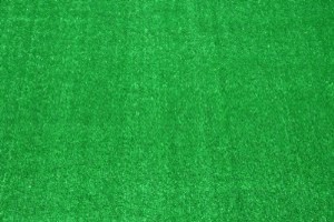 Dean Indoor/Outdoor Carpet Green Artificial Grass Turf Area Rug 12' x 12'