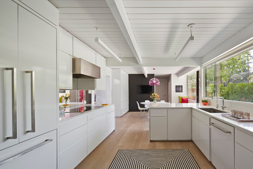 Low price kitchen cabinet inspiration in a midcentury kitchen with flat-panel wood cabinets and minimalist lines