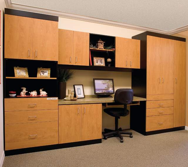 Home Office contemporary-home-office