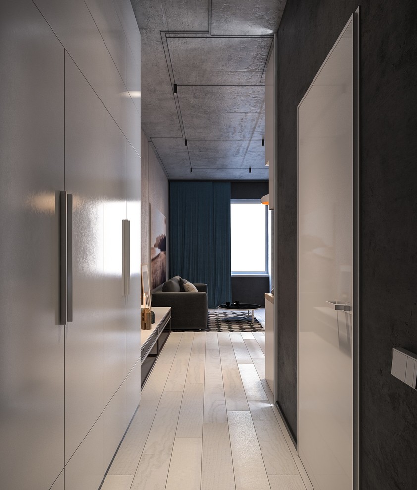 Photo of a small contemporary hallway in Other with grey walls and light hardwood floors.