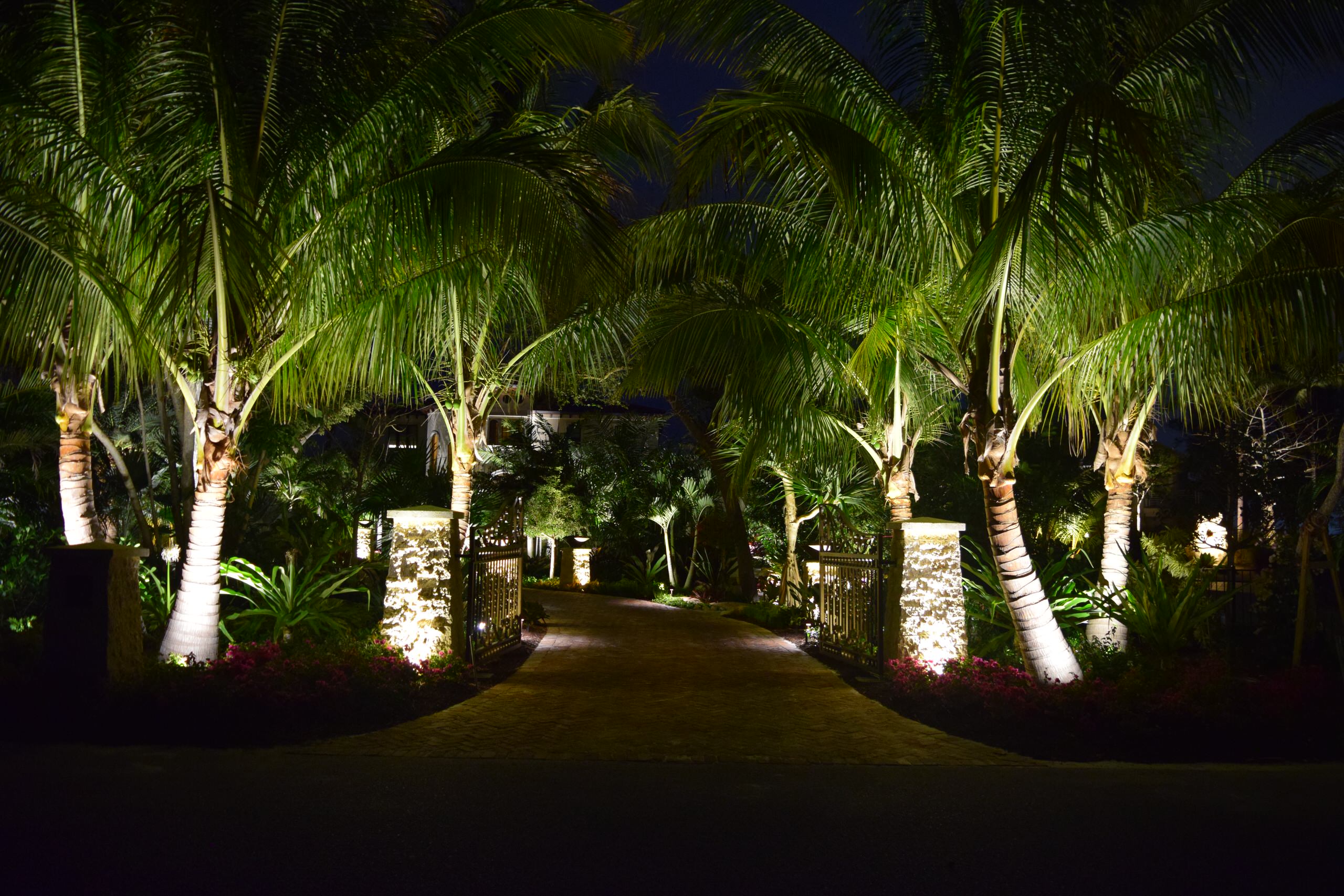 Dream Island Paradise - Evening Lighting