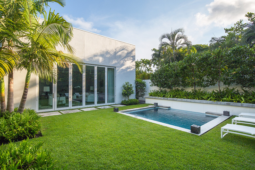 This is an example of a small modern backyard full sun garden in Miami.