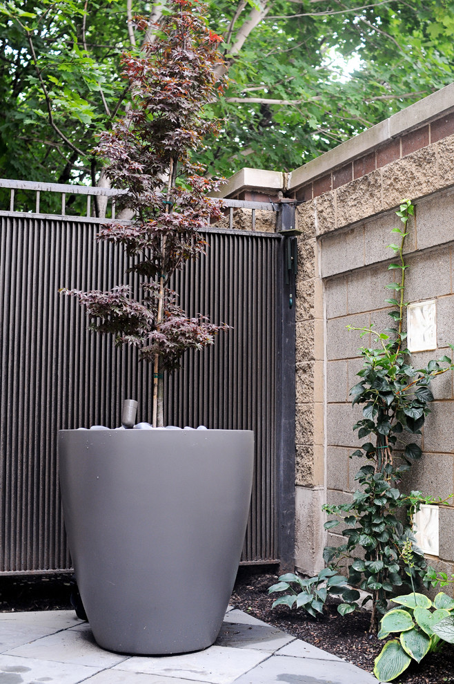 This is an example of a small contemporary courtyard partial sun garden for summer in Chicago.