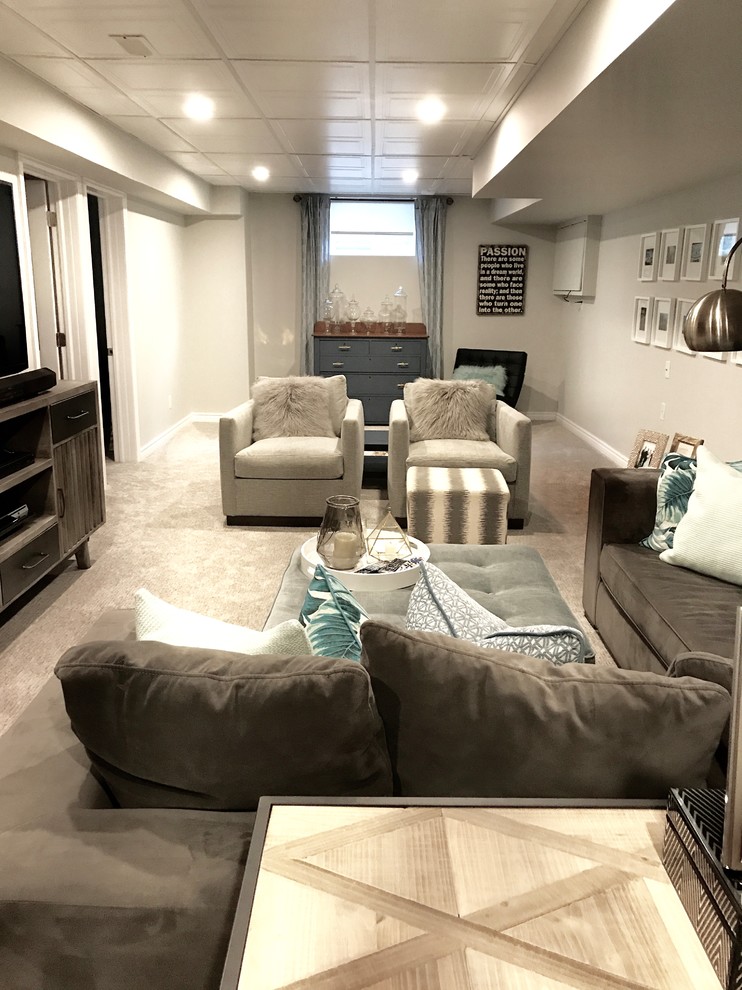 Basement - transitional basement idea
