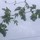 gary_waters59