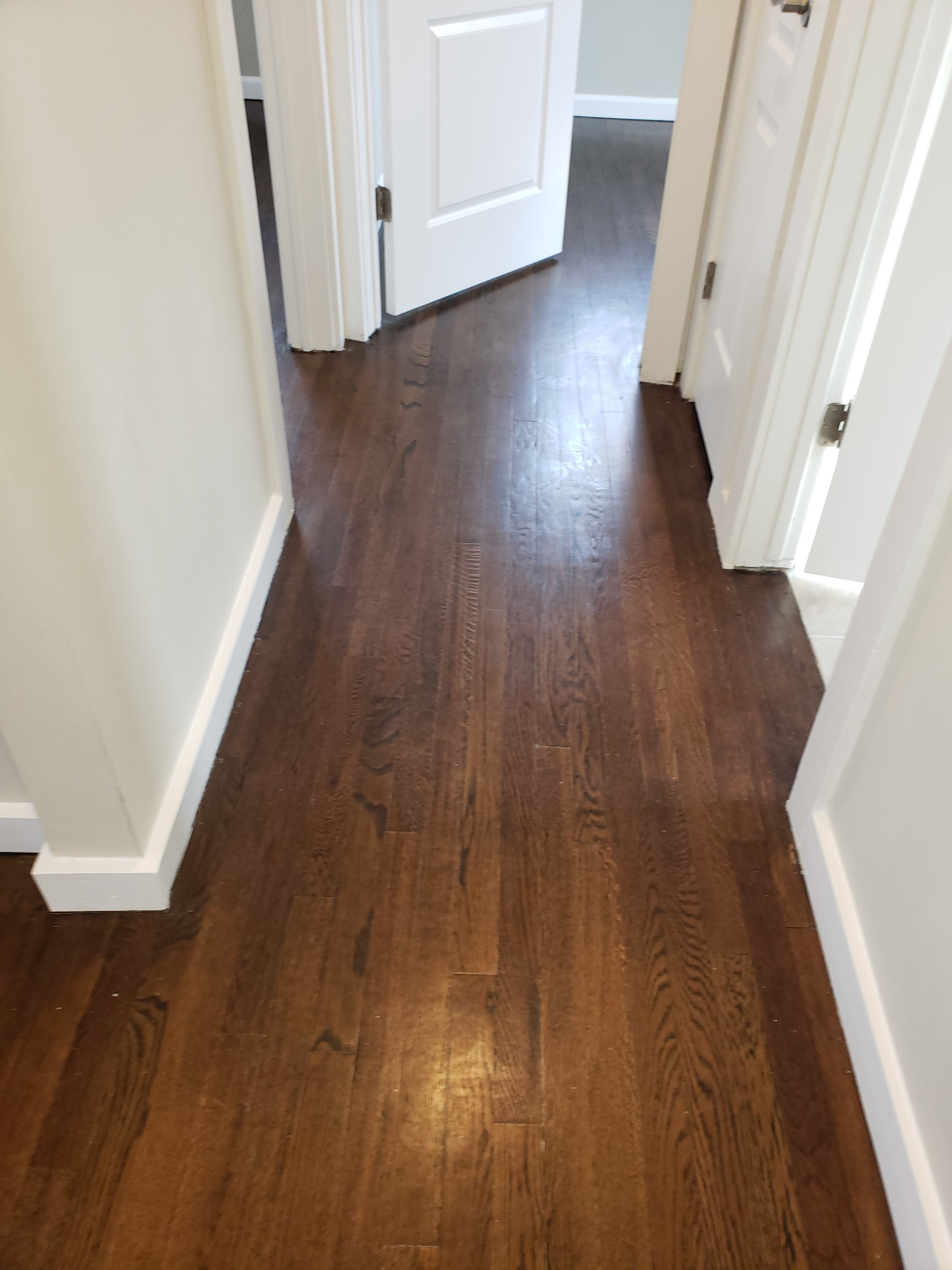 Renovation and Alteration to Single Family Home in Edison