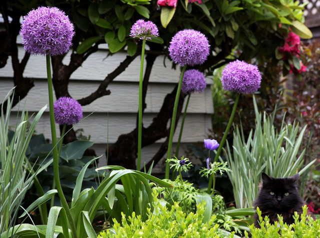 Flora & Fauna garden