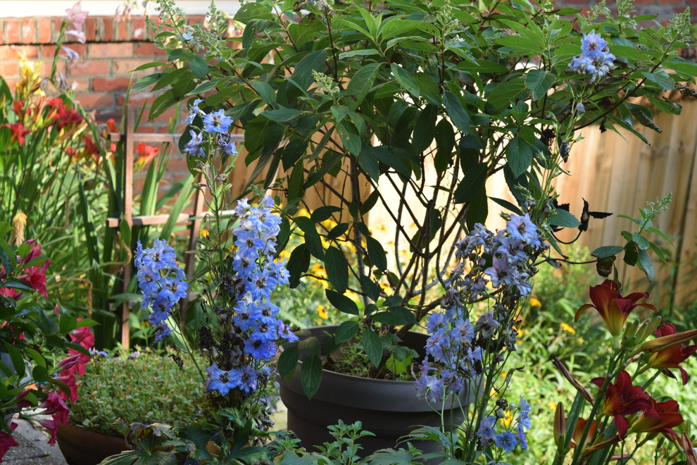 Back yard makeover