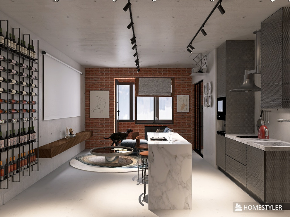 Однокомнатная квартира в стиле Industrial для режиссера с большим псом