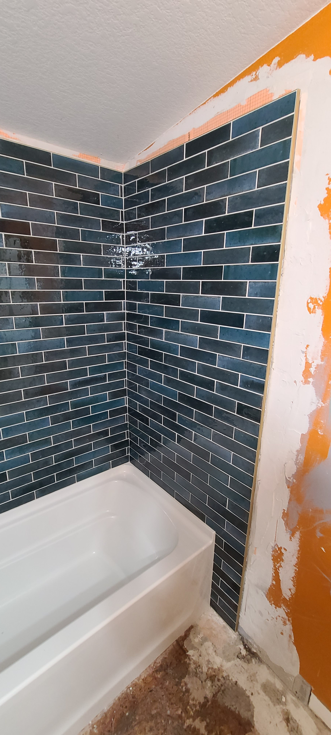 Shower Remodel