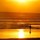 raphael_gonnet