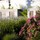 Covey Pardee Landscape Architects