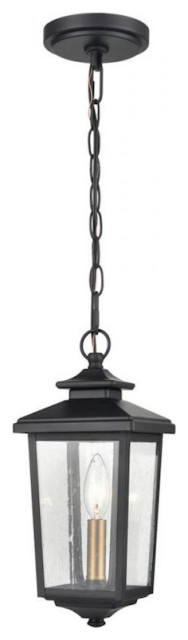 Millennium Eldrick 1 Light 13.5" Outdoor Hanging Lantern, Black/Clear, 4621-PBK