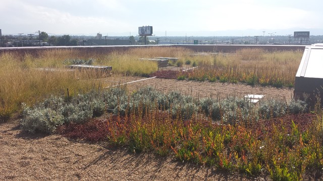 Misc american-southwest-garden