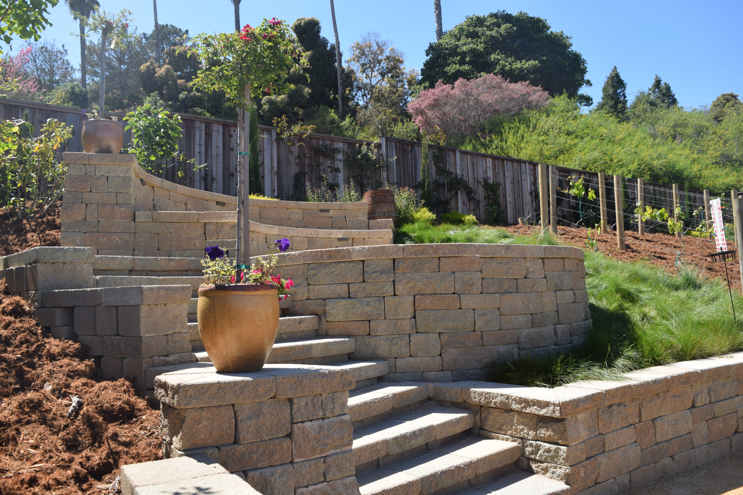 Mediterranean Backyard Transformation - Tiburon, CA