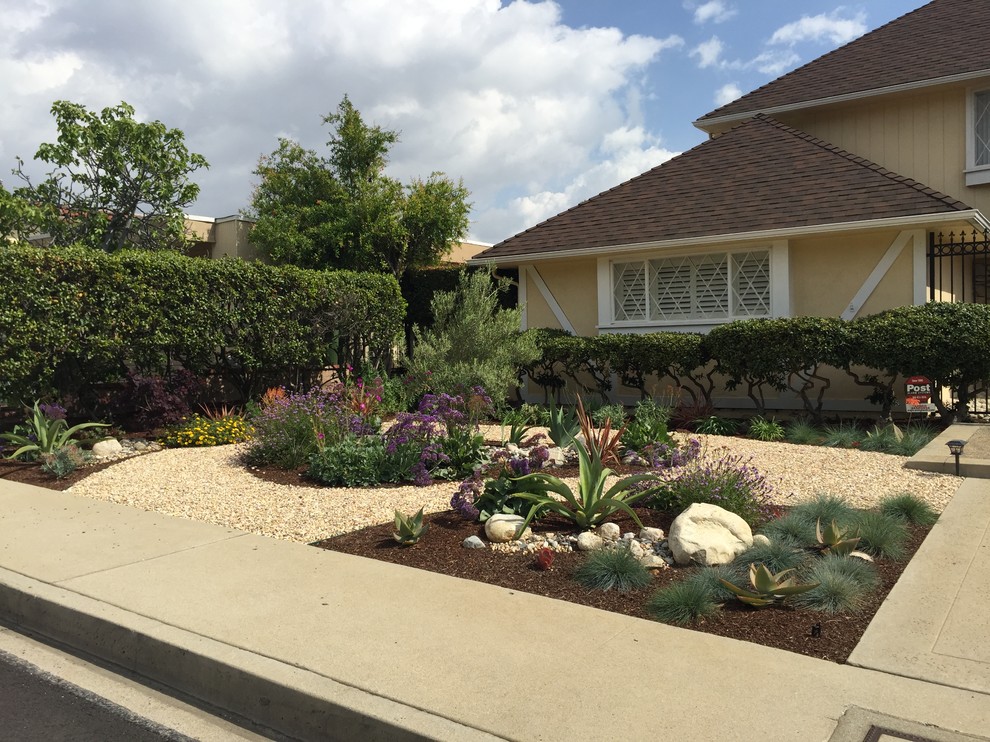 Photo of a large mid-century modern drought-tolerant and full sun front yard gravel landscaping in Los Angeles.