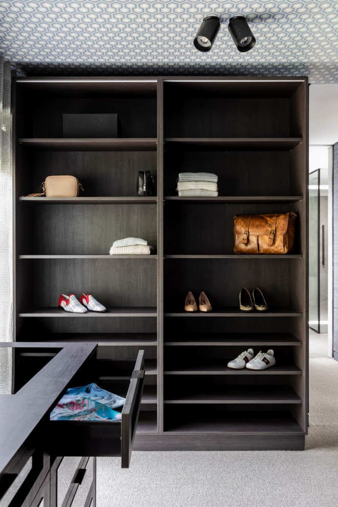Large contemporary gender neutral walk-in wardrobe in Sydney with carpet.