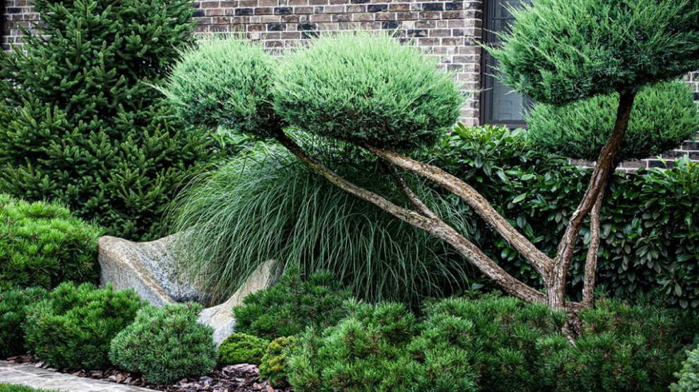 Частное домовладение