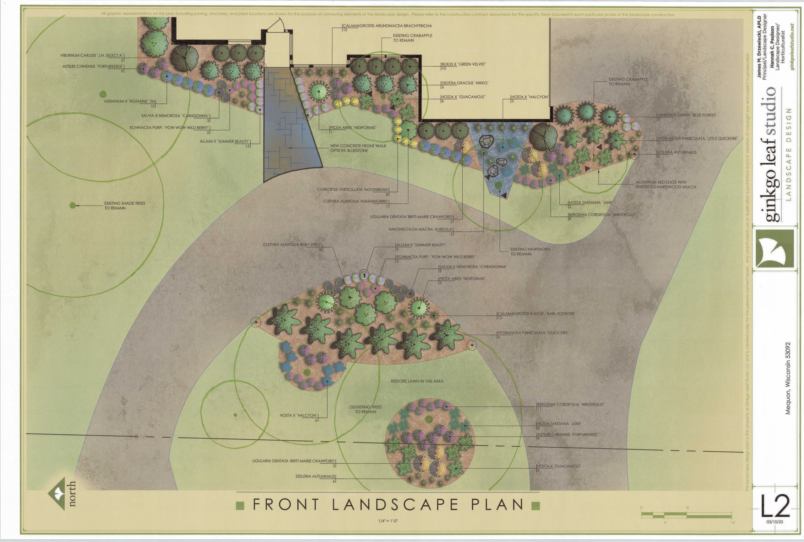 Mid-Century Front Yard and Bluestone Walkway Landscape- Mequon, WI