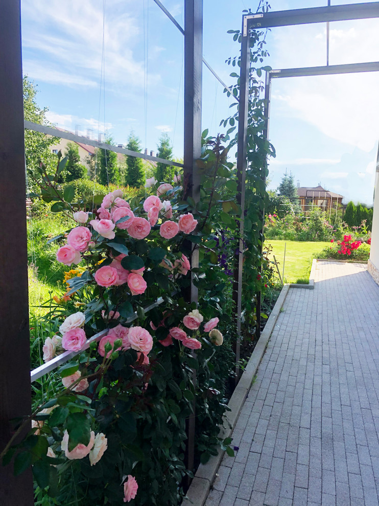 Пергола у дома