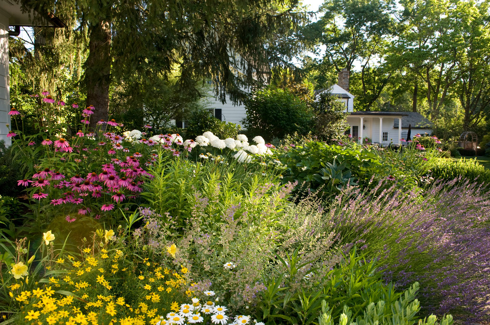 Photo of a mid-sized country front yard full sun formal garden in Baltimore with a garden path.