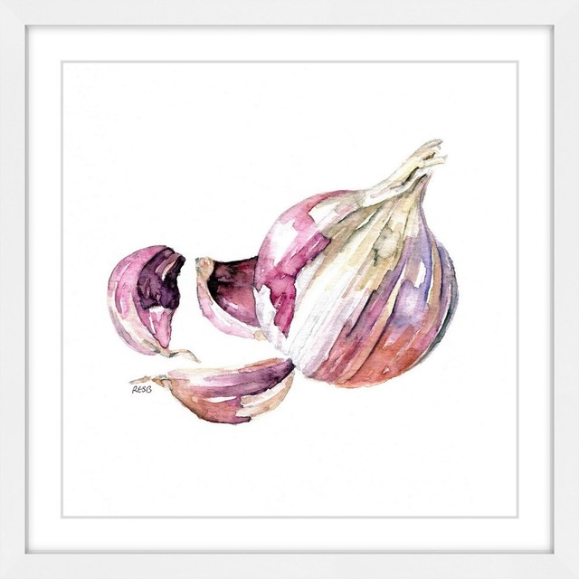 "Garlic Clove" Framed Print by Rachel Byler