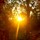 pam_roehl