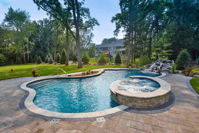 Naperville Il Freeform Swimming Pool With Raised Hot Tub Traditional