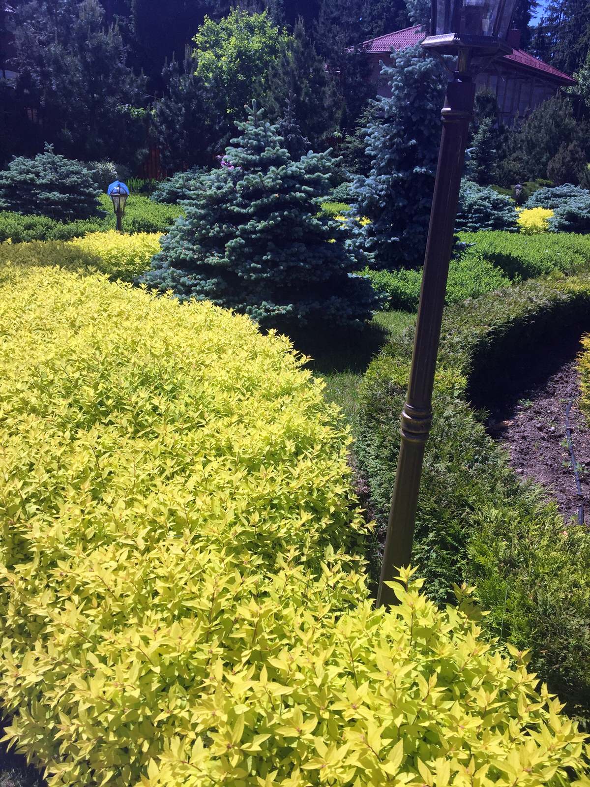 Сосновый Бор 2017.