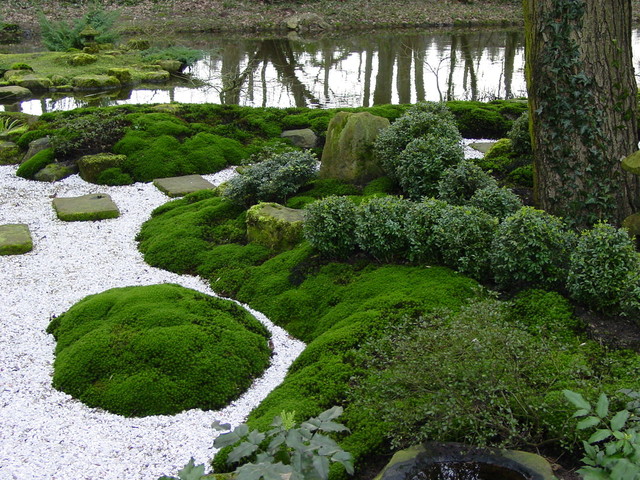 Moos im Garten - Asiatisch - Garten - Hannover - von User