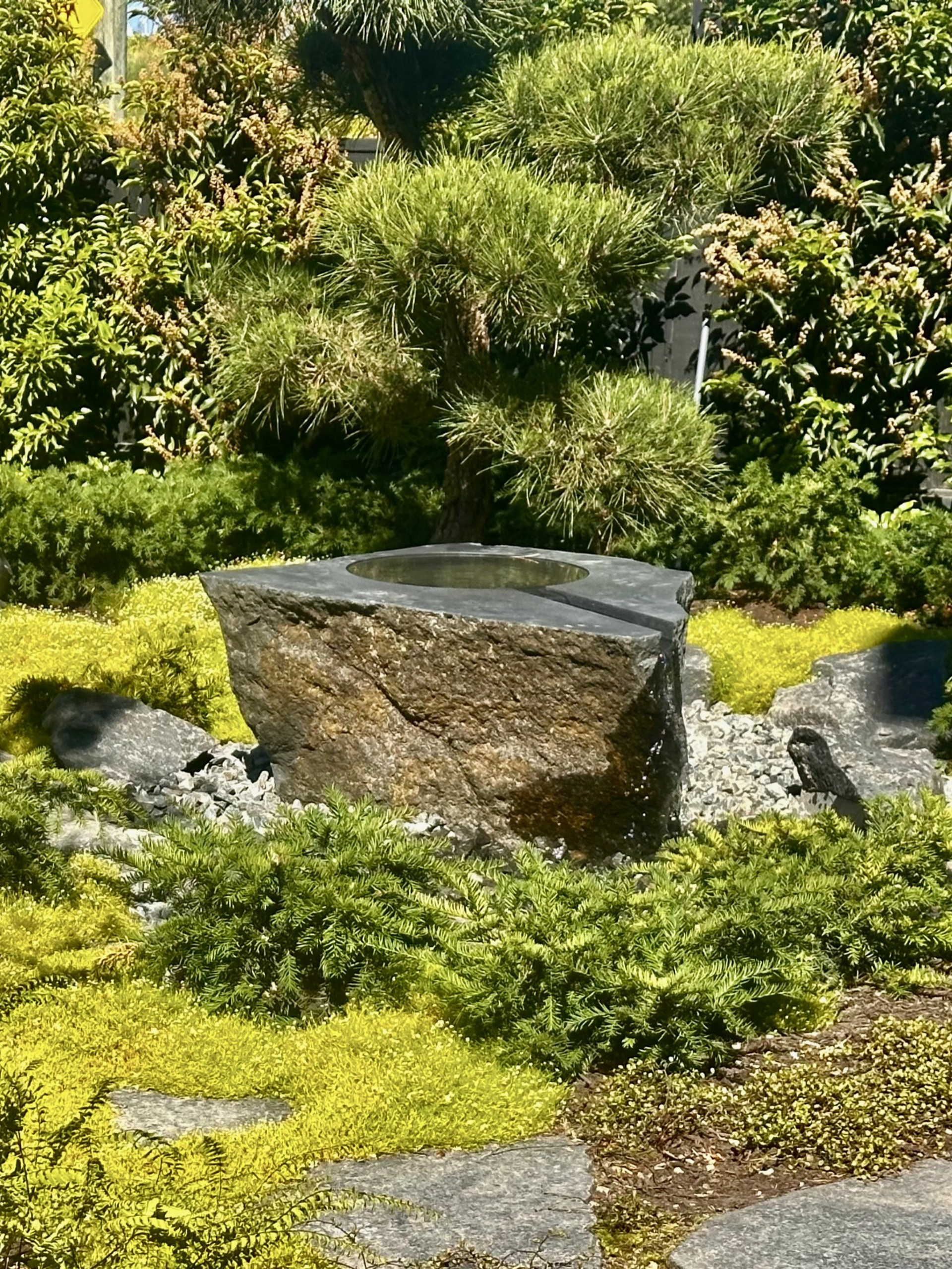Projects In Development and Construction
