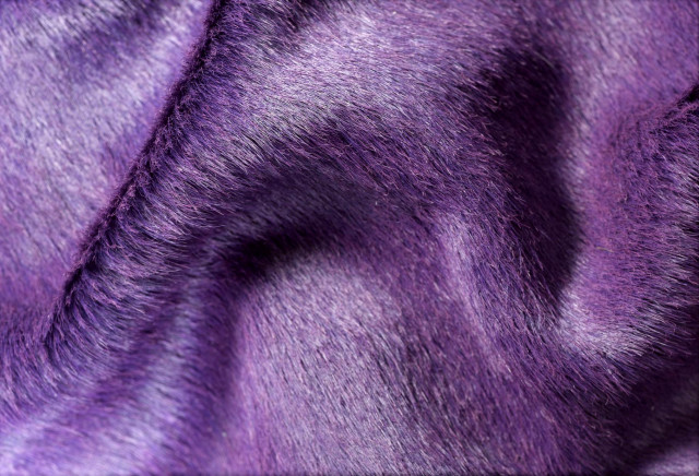 Natural Geneva Cowhide Rug, 6'x7', Purple