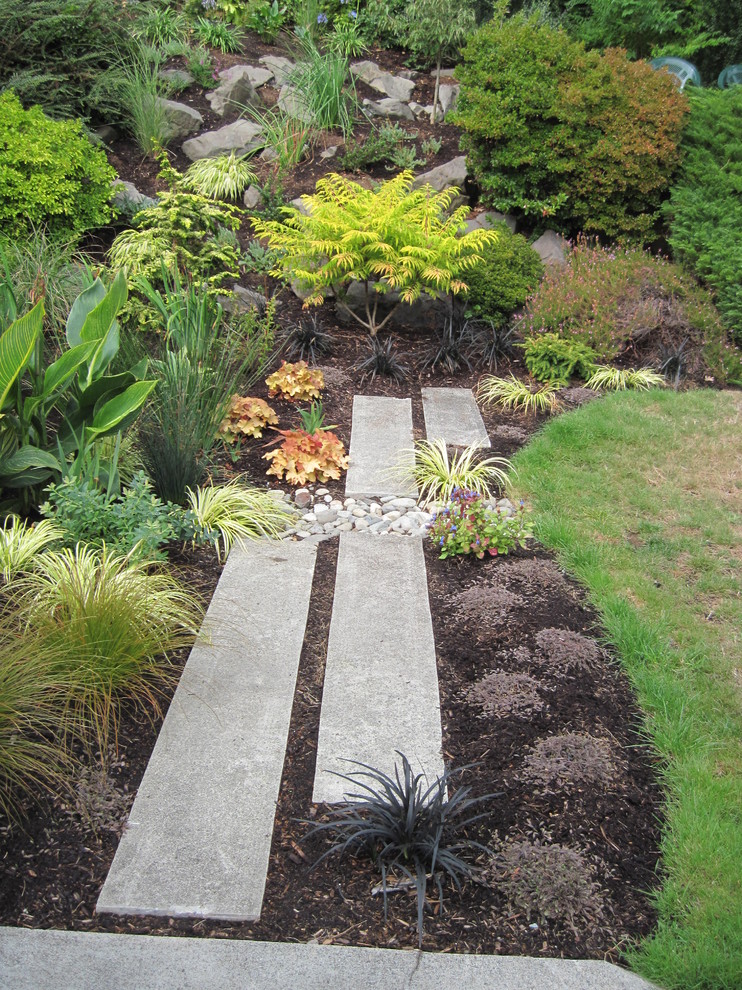 Inspiration for an australian native contemporary backyard garden in Seattle.