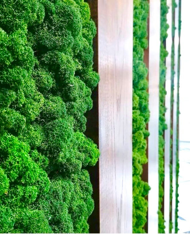 Стена из стабилизированного мха