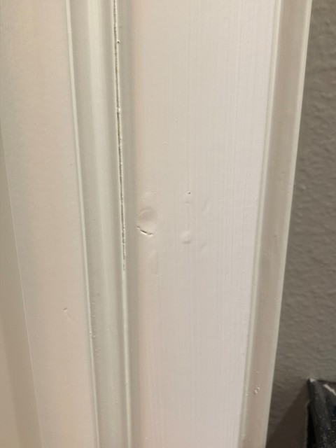 Quality Issues 