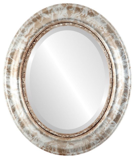 Chicago Framed Oval Mirror in Champagne Silver Traditional Wall