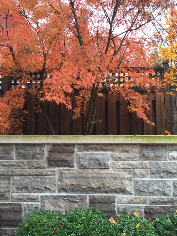 This is an example of a small contemporary backyard full sun garden for summer in Toronto with a retaining wall and natural stone pavers.