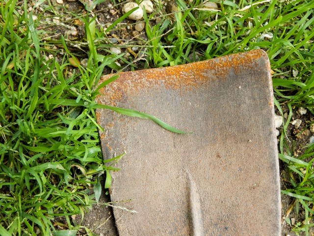 Mai gettare la vecchissima pala in giardino: come riutilizzarla in modo  utile