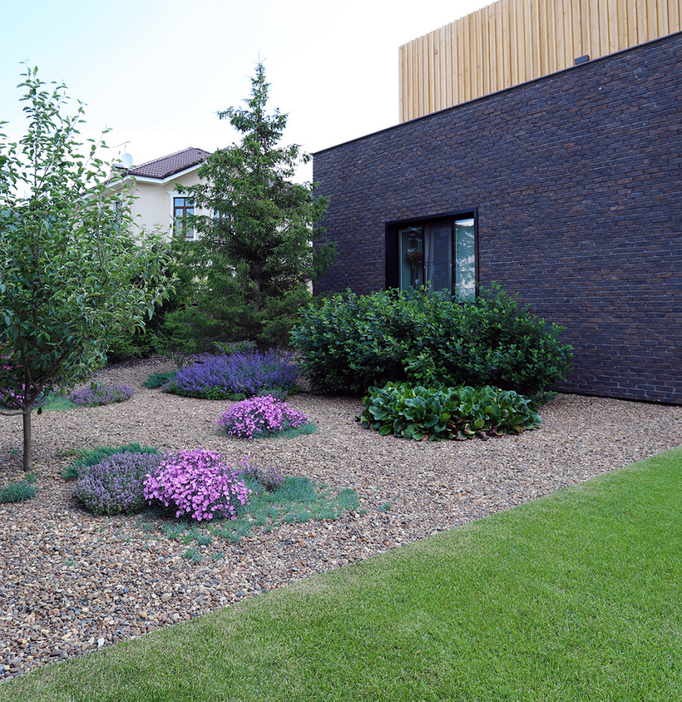 сад в городе