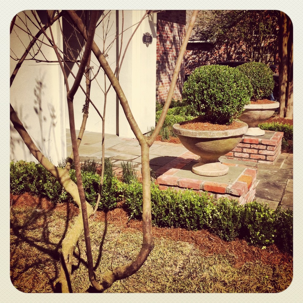 This is an example of a traditional garden in New Orleans.