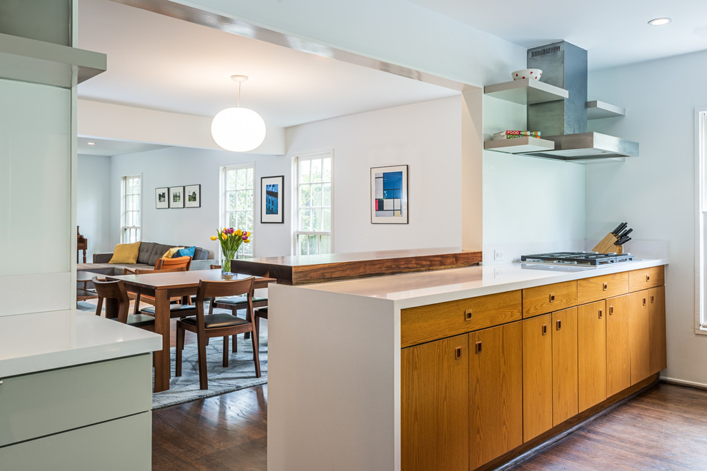 Inspiration for a modern kitchen remodel in Houston