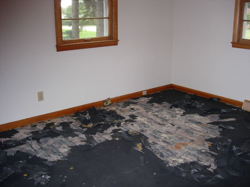 Photos of glued down carpet pad