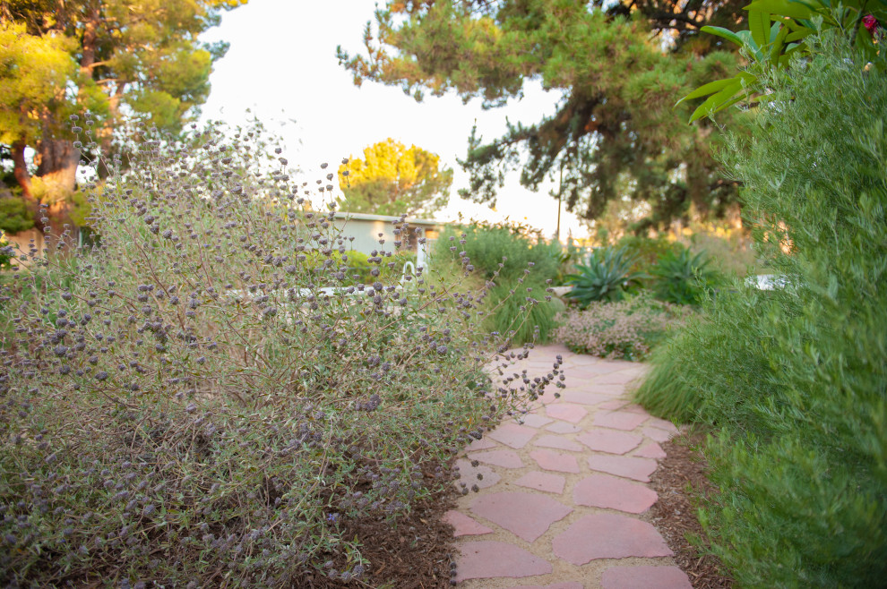 Стильный дизайн: большой летний засухоустойчивый сад на заднем дворе в стиле рустика с дорожками, полуденной тенью и покрытием из каменной брусчатки - последний тренд
