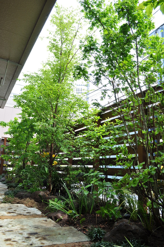 Inspiration for an asian garden in Tokyo.